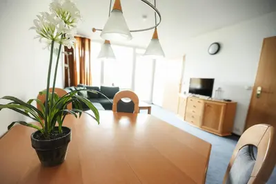 TV/Unterhaltungsangebot in der Unterkunft Apartment Hohe Tannen mit Schwimmbad & Sauna