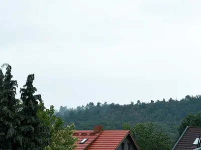Naturlandschaft in der Nähe des Ferienhauses