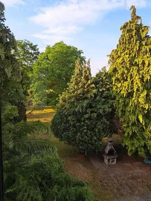 Ein Garten an der Unterkunft FeWo im Harz Bad Harzburg