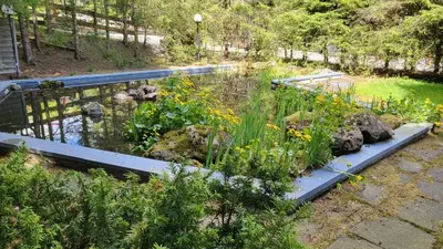 Ein Garten an der Unterkunft kleine Auszeit