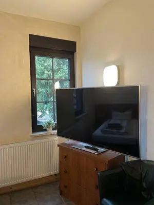 TV/Unterhaltungsangebot in der Unterkunft Ferienwohnungen am Roland