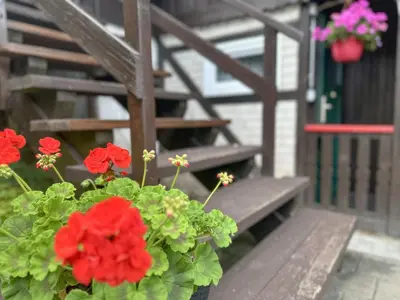 Grundriss der Unterkunft Bergstübl