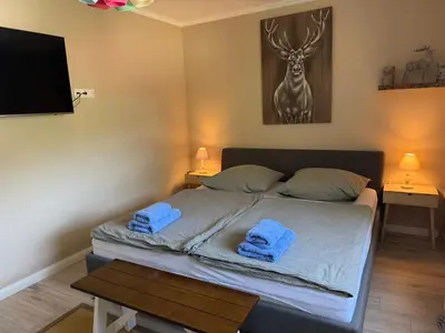 Ein Bett oder Betten in einem Zimmer der Unterkunft Ferienwohnung Harzwiese