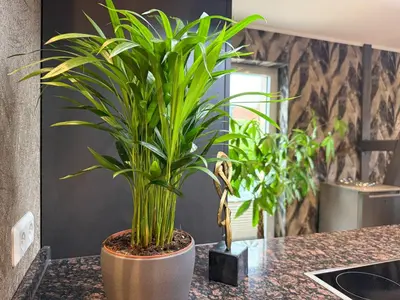 Grundriss der Unterkunft WILD&COZY Ferienhaus mit 160m2, Garage und 2 Bäder