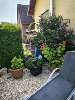 Ein Garten an der Unterkunft Ferienwohnung Am Sonnenbrink