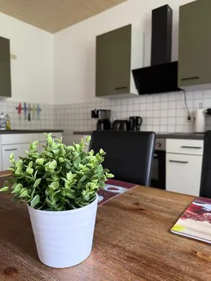 Küche/Küchenzeile in der Unterkunft Ferienwohnung zum Klosterhof
