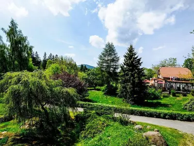 Grundriss der Unterkunft Bergwaldchalet Tierfreund 1