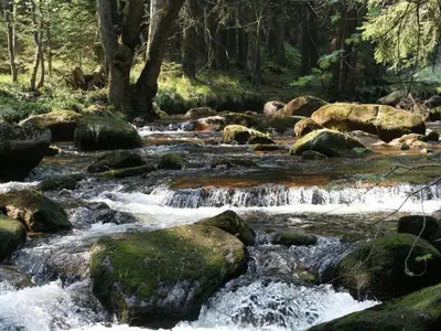 Grundriss der Unterkunft Bergwaldchalet Wellness 6