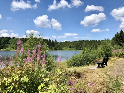 Naturlandschaft in der Nähe des Ferienhauses