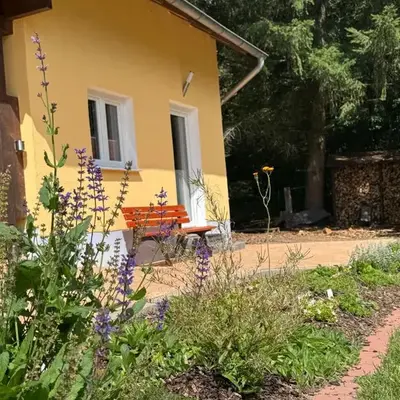 Siebenschläfer