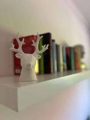 Die Bibliothek in der Ferienwohnung