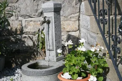 Ein Garten an der Unterkunft family & friends