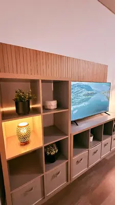 TV/Unterhaltungsangebot in der Unterkunft Mountain Lodge - modernes Appartement mit Schwimmbad und Sauna - Bad Harzburg im Harz