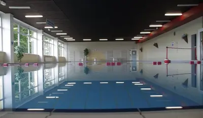 Der Swimmingpool an oder in der Nähe von Ferienwohnung Platzhirsch 314 im Harz mit Pool, Sauna & schöner Aussicht in Braunlage-Hohegeiß