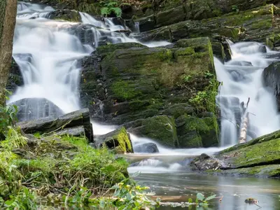 Naturlandschaft in der Nähe des Ferienhauses