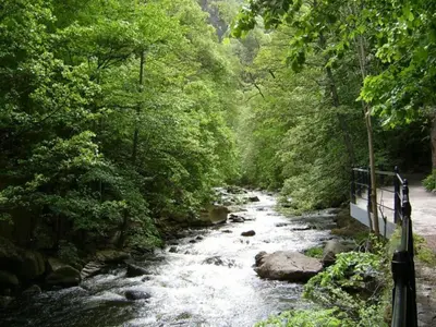 Naturlandschaft in der Nähe der Ferienwohnung