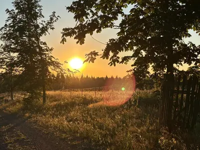 Blick auf den Sonnenuntergang/Sonnenaufgang von der Ferienwohnung aus oder aus der Nähe