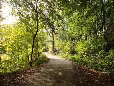 Naturlandschaft in der Nähe des Ferienhauses