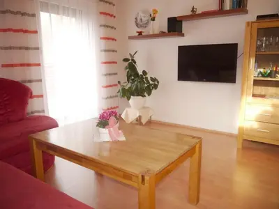 TV/Unterhaltungsangebot in der Unterkunft Holiday apartment in Harz with 1 bedroom