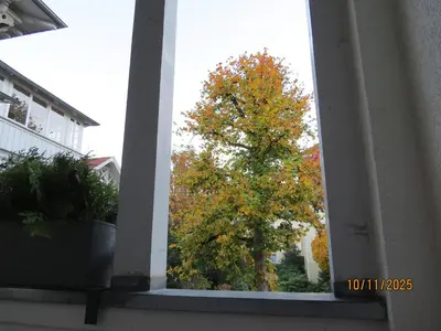 Grundriss der Unterkunft ApartRoß in Villa Eichbaum, zentrale Lage Bummelallee