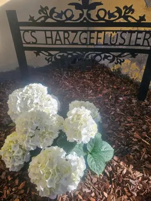 Grundriss der Unterkunft CS HARZgeflüster-Das Familienhotel