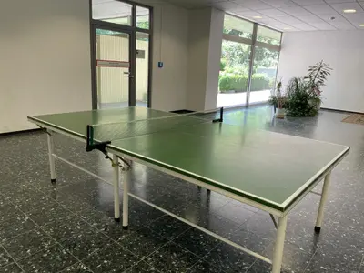 Tischtennis in der Unterkunft Ferienwohnung Harz Valley oder in der Nähe