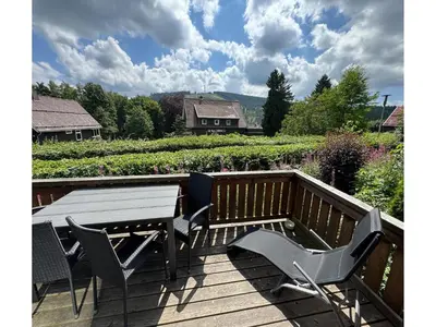 Ein Garten an der Unterkunft Blockhütte im Harz mit Sauna und Kamin