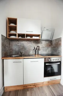 Küche/Küchenzeile in der Unterkunft Ferienapartments in Schierke am Brocken direkte Wanderweglage