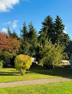 Ein Garten an der Unterkunft Haus Hasenland