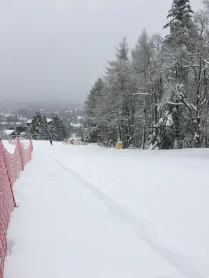Sehnsucht - Harz im Winter