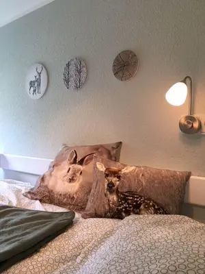 Ein Bett oder Betten in einem Zimmer der Unterkunft Familien-Nest 