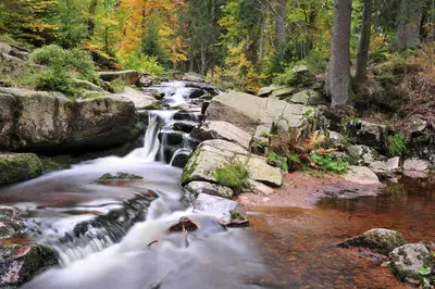 Naturlandschaft in der Nähe des Ferienhauses