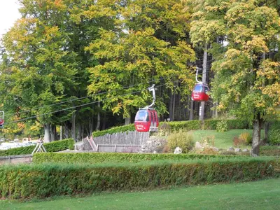 Ein Garten an der Unterkunft Blockhaus Bodefall