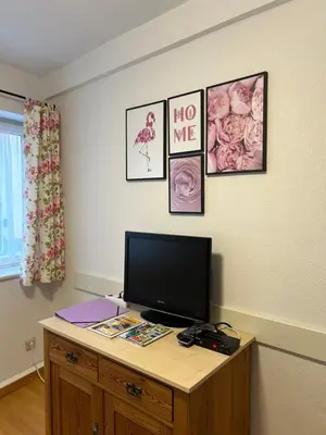 TV/Unterhaltungsangebot in der Unterkunft Ferienwohnung Altstadtnest