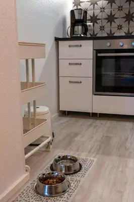 Küche/Küchenzeile in der Unterkunft FeWo Harzer Wiesenberg, bis zu 2 Hunde willkommen!