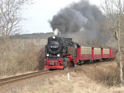 Grundriss der Unterkunft Holiday Home in Thale - Neinstedt