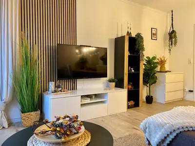 TV/Unterhaltungsangebot in der Unterkunft FeWo Harzhörnchen mit Balkon