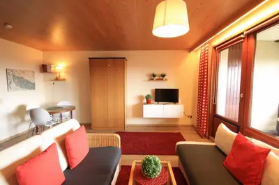 TV/Unterhaltungsangebot in der Unterkunft Ferienwohnung am Glockenberg Sankt Andreasberg Harz