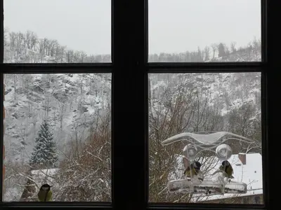 Oben im Selketal im Winter