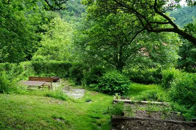 Ein Garten an der Unterkunft Oben im Selketal