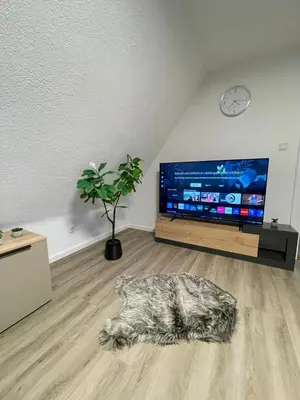 TV/Unterhaltungsangebot in der Unterkunft HarzRoots B