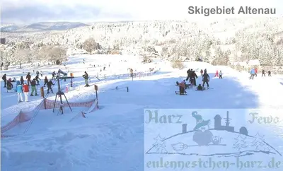Skifahren in der Ferienwohnung oder in der Nähe