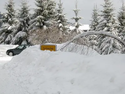 Waldhaus im Winter