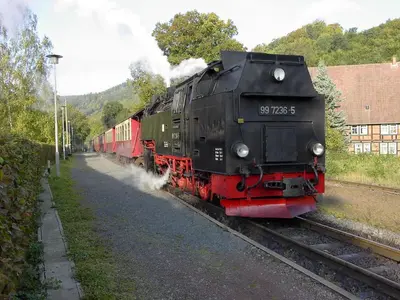 Grundriss der Unterkunft Waldhaus