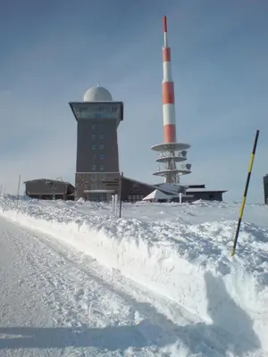 Waldhaus im Winter