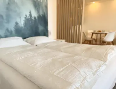 Ein Bett oder Betten in einem Zimmer der Unterkunft NEU Bärenberg, Panorama Sauna Pool