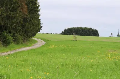 Naturlandschaft in der Nähe der Ferienwohnung