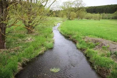 Naturlandschaft in der Nähe der Ferienwohnung