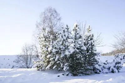 Apartment in Braunlage im Winter