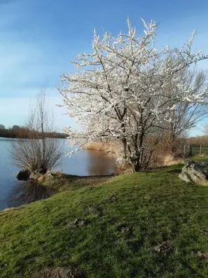 Naturlandschaft in der Nähe der Ferienwohnung